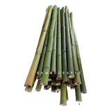 25 Varas De Bambú Natural Tutores Cerca 130cm/ 2-3cm Grosor 