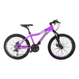 Mountain Bike Infantil Raleigh Mtb Scout  2023 R24 21v Frenos V-brakes Cambios Shimano Color Rosa/gris  