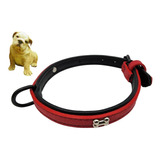 Collar Para Perros Fashion Rojo 40cm