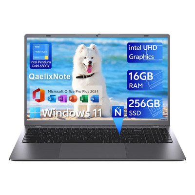 Qaelixnote 15.6 inch Laptop with Pentium Gold 6500Y(Up to 3.4GHz), 16GB RAM 256GB SSD,1080P Full HD, USB-C,Gray Computer Laptops for School, Business | Envío gratis