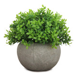 Vaso Decorativo Inclui Planta Artificial Arbusto Suculentas