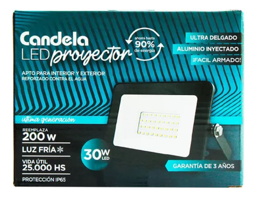 Reflector Led Exterior 30w Proyector Ip65 Intemperie Candela