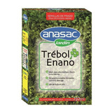 Semillas De Pasto Prado Trebol Enano 250 Grs