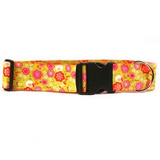 Collar Del Perro Amarillo Diseño Del Perro De Ramo Verde Ada