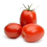 Tomate Rasteiro Rio Grande 1.000 De Sementes Aproximado