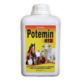 Suplemento Vitamínico E Mineral Potemin B12 - 1 Litro