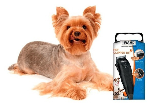 Maquina Peluquera Canina Wahl Pet Clipper Kit