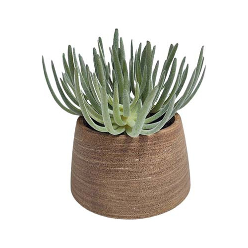 Cactus Artificial En Maceta 22 Cms - Desillas