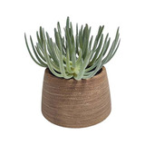 Cactus Artificial En Maceta 22 Cms - Desillas