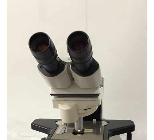Microscopio Binocular Leica Dm 3000