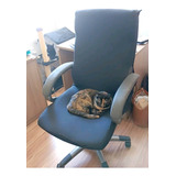 Capa De Cadeira  Anti Gato 