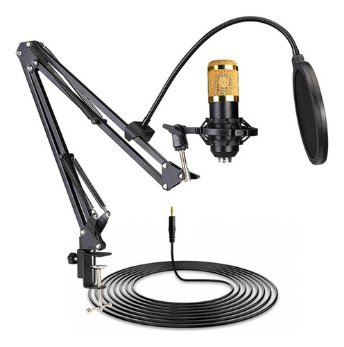 Kit Microfone Estúdio Bm800 + Pop Filter + Aranha + Braço 