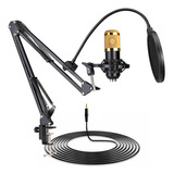 Kit Microfone Estúdio Bm800 + Pop Filter + Aranha + Braço 