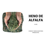 Heno De Alfalfa Alimento; Conejos, Cobayos X 4kg. Caba