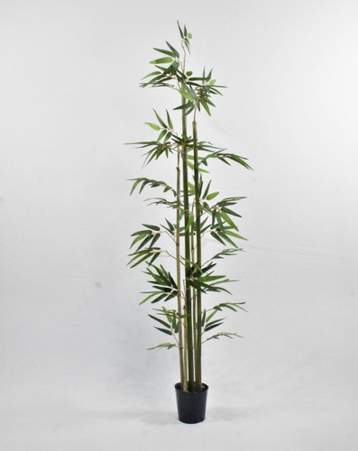 Cañas X 5 De Bamboo - Planta Artificial- Regalos Deco