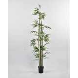 Cañas X 5 De Bamboo - Planta Artificial- Regalos Deco