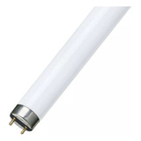 Tubo Fluorescente Philips 36w Luz Cálida 120 Cm Usados!! X6u