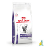 Royal Canin Gatos Castrados Weight Control X 3kg + Envios Zn