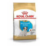 Alimento Royal Canin Jack Russell Terrier Puppy Cachorro 3kg