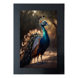 Cuadro De Colección Aves Hermosas Pavo Real