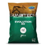 Sal Mineral Para Cavalos De Alta Performance Evolution 10kg