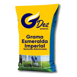 10 Kg Semente Grama Esmeralda Imperial