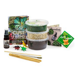 Kit De Inicio De Terrario | Musgo, Vermiculita, Suelo, ...