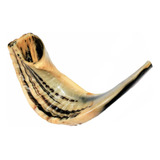 Shofar Chifre De Carneiro De Tocar - 34 A 36 Cm - De Israel