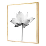 Quadro Decorativo Flor Cinza Planta Jardim Preto E Branco