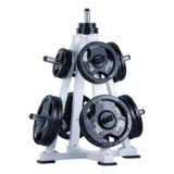 Rack Soporte  Discos Olímpicos Gimnasio Pesas Importado