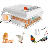 Incubadora Automatica De Huevos Para Pollos 16 Huevos