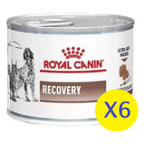 Alimento Royal Canin Veterinary Diet Recovery 145g X6