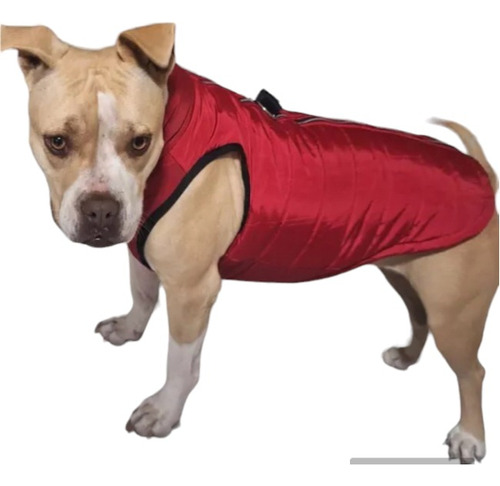 Chaleco Impermeable Calentito Para Mascotas Razas Grandes 