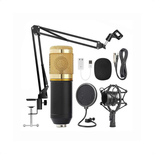 Microfono Profesional Estudio Condensador Con Brazo En Kit