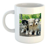 Taza De Ceramica Husky Siberiano Cachorros