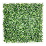 Muro Verde Jardin Vertical X20 Enredadera Artificial Pared