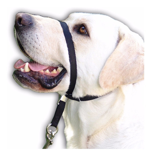 Solucion Para Perros Que Tiran. Collar Gentle Leader.