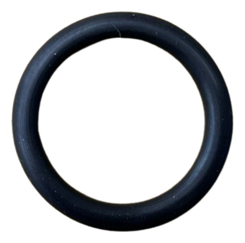 O Ring De Silicon Para Porta Filtro Big Blue Hf45 