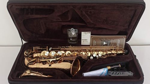 Sax Alto Profissional Eagle 510 Master Series Bronze - 10x