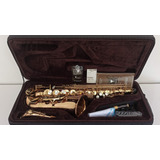 Sax Alto Profissional Eagle 510 Master Series Bronze - 10x