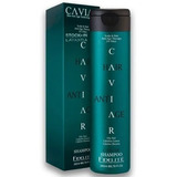 Shampoo Cabellos Grasos 260ml Caviar- Fidelite X 3