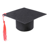 Tiny Graduation Hat Mini Hat Para Mascotas Ropa Divertida