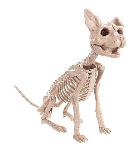 Boneco Esqueleto Gato Halloween Decoração Animais Bruxa
