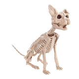 Boneco Esqueleto Gato Halloween Decoração Animais Bruxa