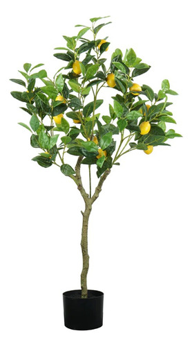 Árbol De Limón Yuzu