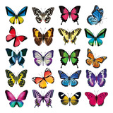 40 Adhesivos De Mariposa Ventana Anticolisión Evitar G...