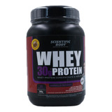 Whey Protein Vainilla Berries 500 G