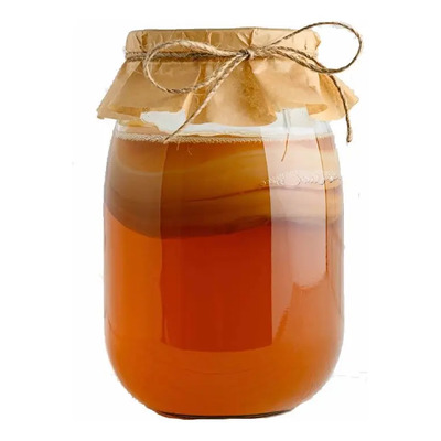 Kombucha Curso Preparación Fácil Scoby + Líquido Iniciador | Envío gratis