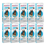 Kit 10x Bravecto Cães De 20 A 40 Kg Comprimido - Antipulgas