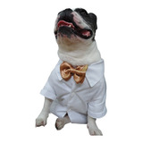 Roupa Camisa Social Pet P/ Buldogue Francês E Raças Pequenas